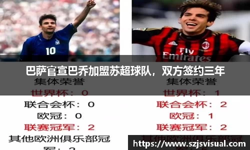 3377体育APP