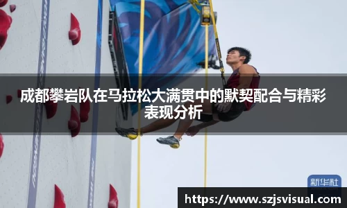 3377体育